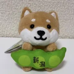 旅するマメしば　新作　New 枝豆　新潟限定　キーホルダー　匿名配送