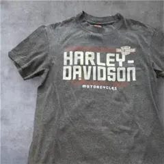 Harley-Davidson archiveバイカーtシャツ　アメカジ　00sのサムネイル