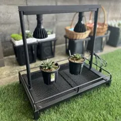 植物棚 シェルフ