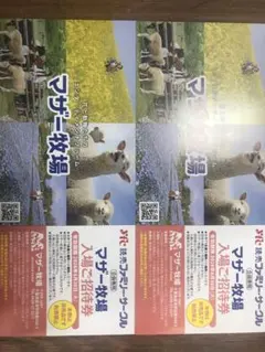 マザー牧場　入場ご招待券　2枚　②のサムネイル