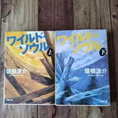 ワイルド・ソウル 上下巻セット