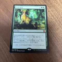自然の秩序 (Magic: The Gathering) EMA