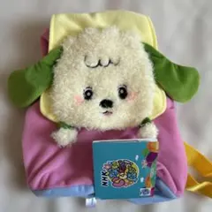 新品 いないいないばあっ！ワンワン&ぽぅぽのプレミアム フェイス リュック①のサムネイル