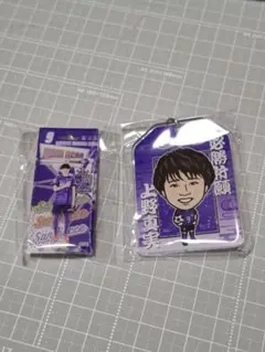 サンフレッチェ広島レジーナ
