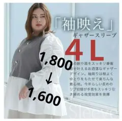 ４L　新品タグ付　チュニック　重ね着風　レイヤード　コラボ　大きいサイズのサムネイル