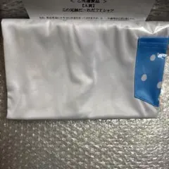 ポケモン足跡Tシャツ 30周年 BOSS イッシュ地方
