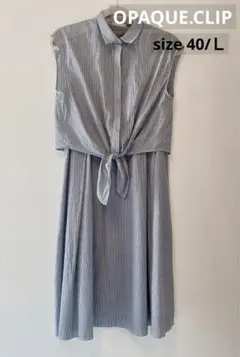 ⭐︎お値下げ中⭐︎オペークドットクリップ　ストライプワンピース(40/Ｌ)