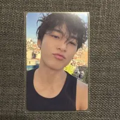 ウォヌ 会場限定 コンプリート ウォヌ 会場限定 コンプリート SEVENTEEN 会場限定 ウォヌ