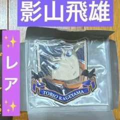 ✨レア✨　影山飛雄　名場面アクリルバッジ