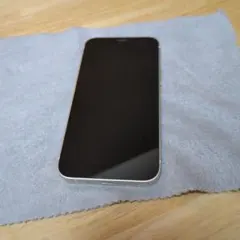 Apple iPhone 12 mini 128GB ジャンク