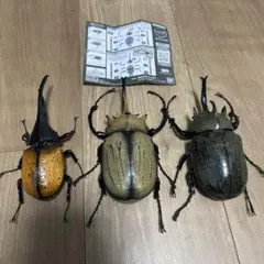 K*平様 いきもの大図鑑 アドバンス　カブトムシ4 3種セット　組み立て済み