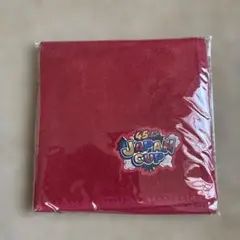 【新品未使用】45th JAPAN CUP 競馬タオル