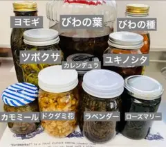 選べるチンキ13種　ローズマリー　ドクダミ全草　びわの葉　1種から