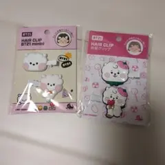 BT21ミニヘアクリップ 2個セット RJ