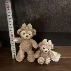 【ぁ！】シェリーメイ 2点セット shelliemay-clothing-j38899.