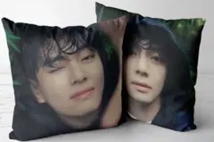 ☆BTSクッションカバー　Snow peak テヒョン V テテ ☆