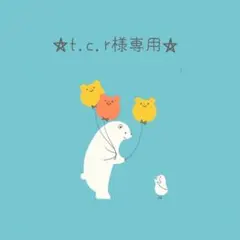 【t.c.r様専用】羊毛フェルト