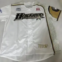 (未使用品)日本ハム 限定ユニフォーム 2枚セット 本日から受注販売！「WE LOVE HOKKAIDO & FIGHTERS 2025レプリカ