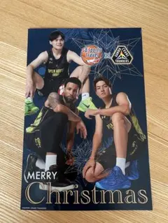 【非売品】群馬クレインサンダーズ クリスマス ポストカード