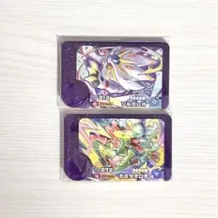 ポケモンフレンダピック　ソルガレオ、カミツオロチの2点