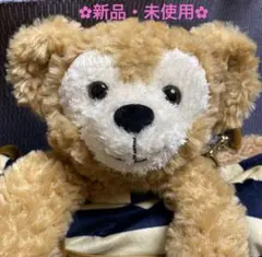 《新品》ダッフィーブランケット（ショッパー付き）