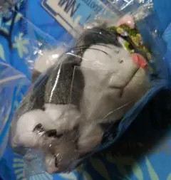 Happyくじ キャットコレクション にゃんにゃんにゃん ディズニー　ルシファーのサムネイル
