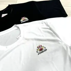 Item thumbnail for item ceb5d207-5d44-4870-95c2-6f4db330d9d0