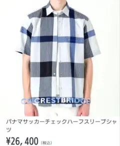 used美品パナマサッカーチェックハーフスリーブシャツMホワイト✕ブルー✕グレーのサムネイル