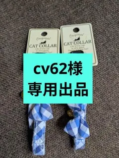 Item thumbnail for item b048caed-b289-4e28-88f6-129f6bc7b715