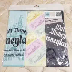 Disney／ディズニー 創立100周年 ミニタオル3枚