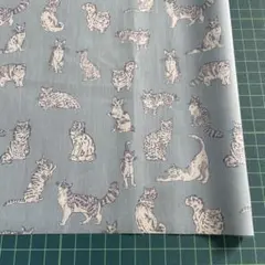 T164 リバティ 27×31cm ミャオウ ブルーグレー タナローン 7g