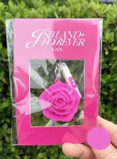 【会場限定】JSB LAND ～FOREVER～ ローズキーホルダー/岩田剛典のサムネイル