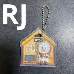 BT21 パッケージチャーム RJ
