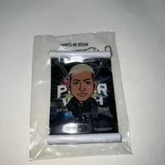 関口メンディー ミニタペストリー