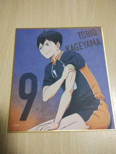 ハイキュー トレカ　ゴミ捨て場の決戦展 影山飛雄　トレーディングミニ色紙