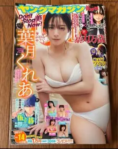 ヤングマガジン No.14 葉月くれあ　田中きずな