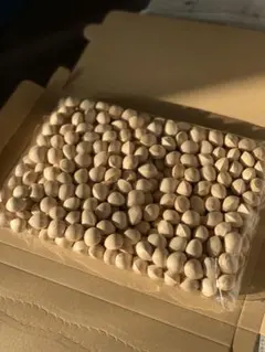 アントン様専用⭐️熊本県産 2L〜4L 銀杏 藤九郎ぎんなん 2.8kg