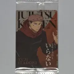 ୨୧呪術廻戦୨୧虎杖悠仁 ウエハースカード＊N6-01＊