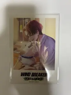 WINDBREAKER ウィンブレ ウィンヒロ ポラロイドカード 蘇枋隼飛