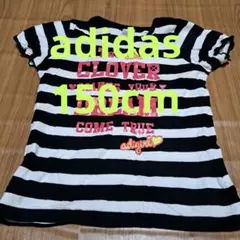 adidas Tシャツ 150cm