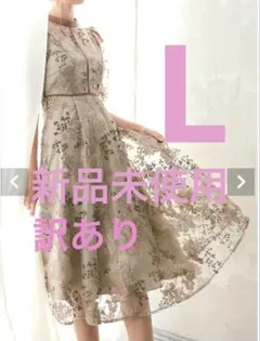 新品 今季 ニアナ ドリードール Dorry Dollリリーパターンレースドレス