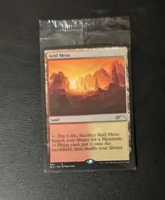 MTG 乾燥台地 Arid Mesa 英語版4枚 - メルカリ