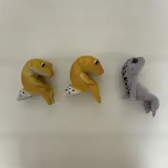 ふちやすみ レオパたち 3体セット
