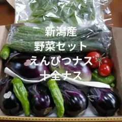 新潟産　野菜セット(十全茄子・えんぴつ茄子)　コンパクトのサムネイル