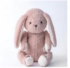 Item thumbnail for item ac9464bc-6d8d-4e99-a460-7ff87f99019a