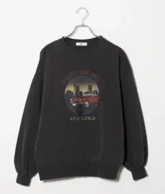【美品】WEGO ヴィンテージライクピグメントスウェット