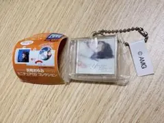 浜崎あゆみ グッズ ミニチュア CD コレクション 26th~50th 10点 - メルカリ