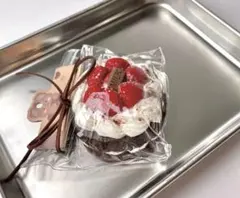 スクイーズ　チョコレートケーキ　いちご