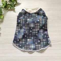 Item thumbnail for item 64a15072-a433-4d71-8d4e-15583111ad21