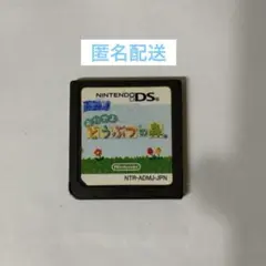おいでよどうぶつの森 Nintendo DS